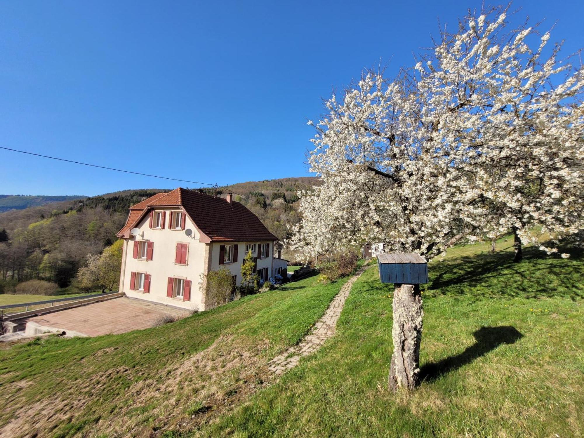 Domaine De La Charriere Sur 63 Ares - 8 Pers Grand Confort Villa Neuviller Exterior photo